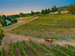 MLS #OC25228536 image #0