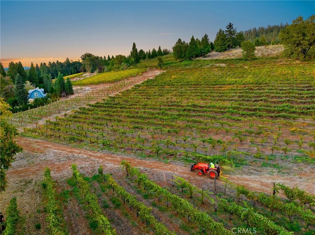 MLS #OC25228536 image #0