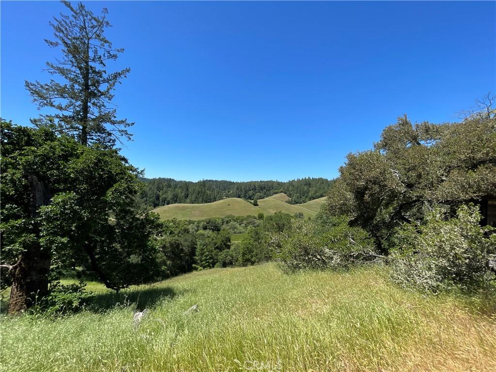 MLS #OC25229079 image #0