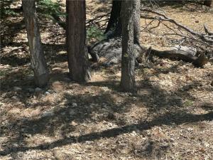MLS #OC25230402 image #0