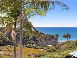 MLS #OC25236030 image #0