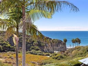 MLS #OC25236030 image #0