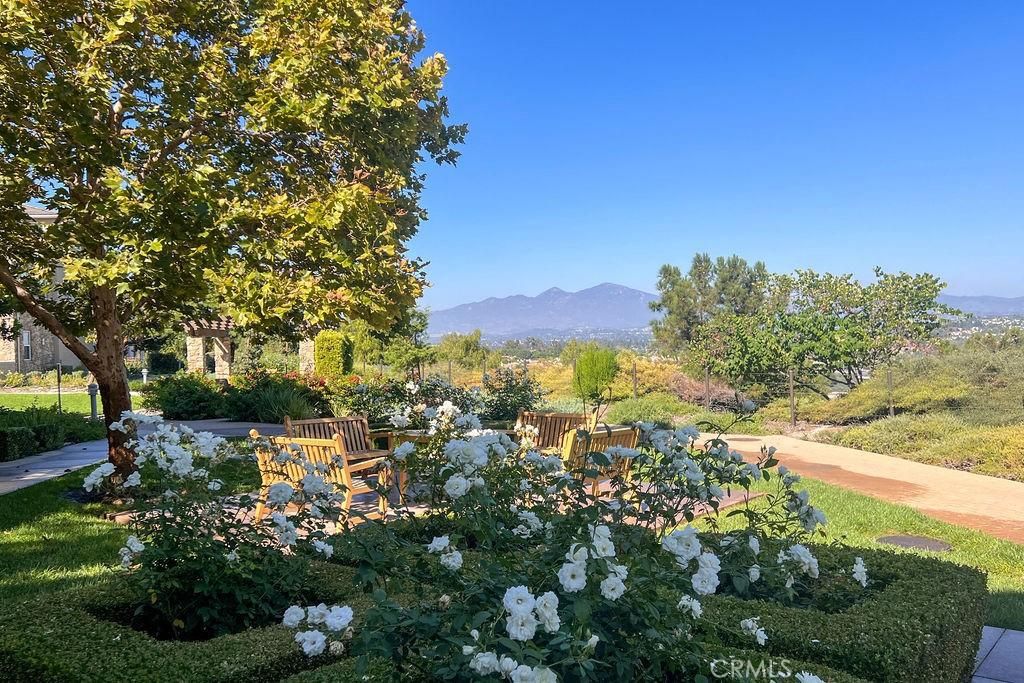 MLS #OC25245899 image #0