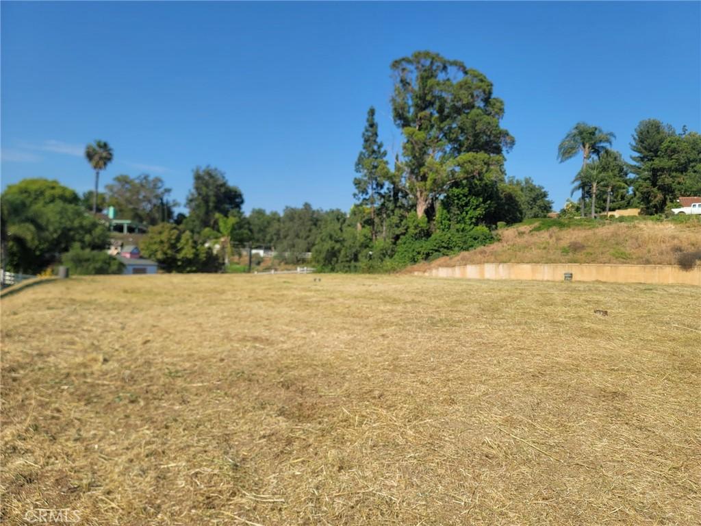 MLS #OC25258218 image #0