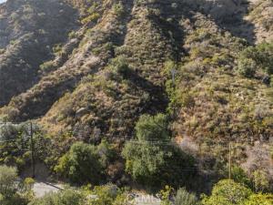MLS #OC25261224 image #0