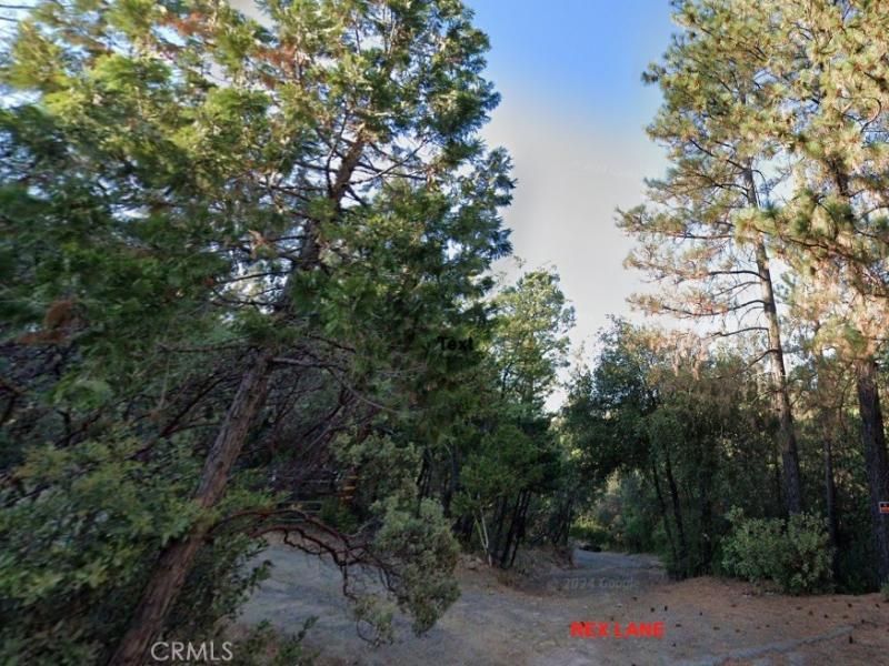 MLS #OC25261359 image #0