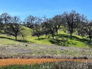 MLS #OC25264948 image #0