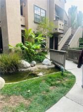 MLS #OC25265059 image #0