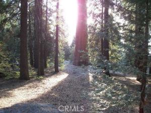 MLS #OC25275569 image #0