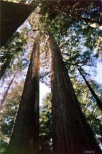 MLS #OC25275569 image #0