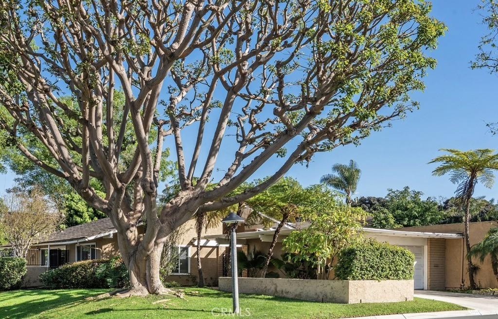 MLS #OC25279178 image #0