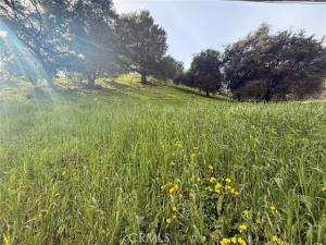 MLS #OC26016361 image #0