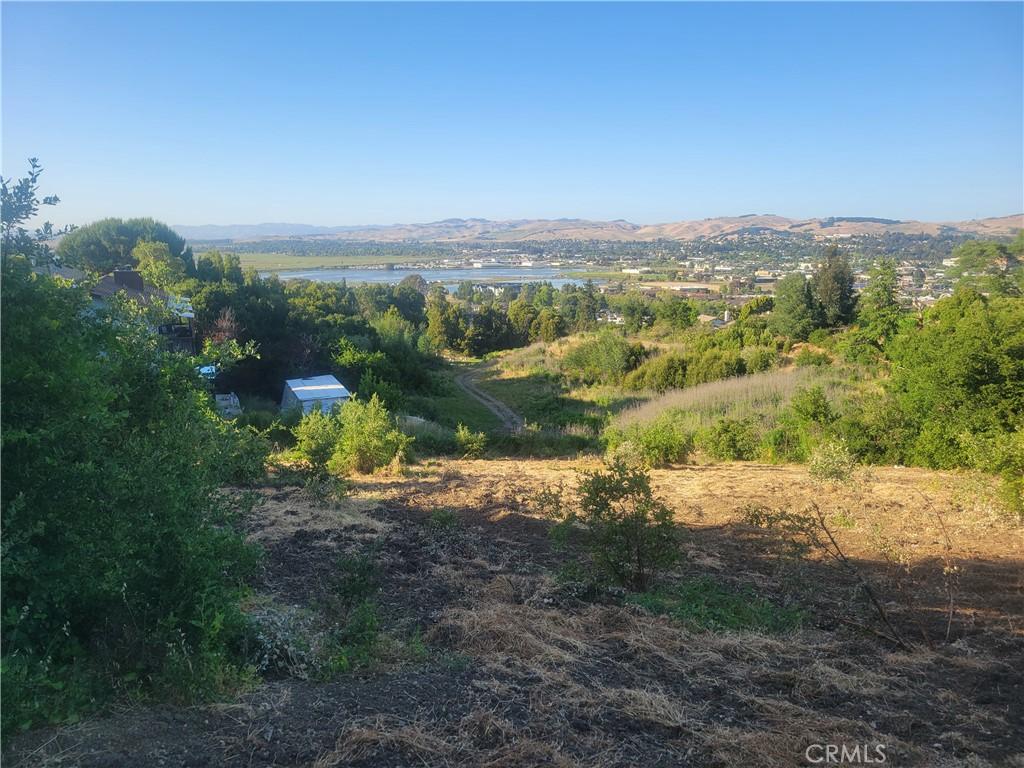 MLS #OC26051090 image #0