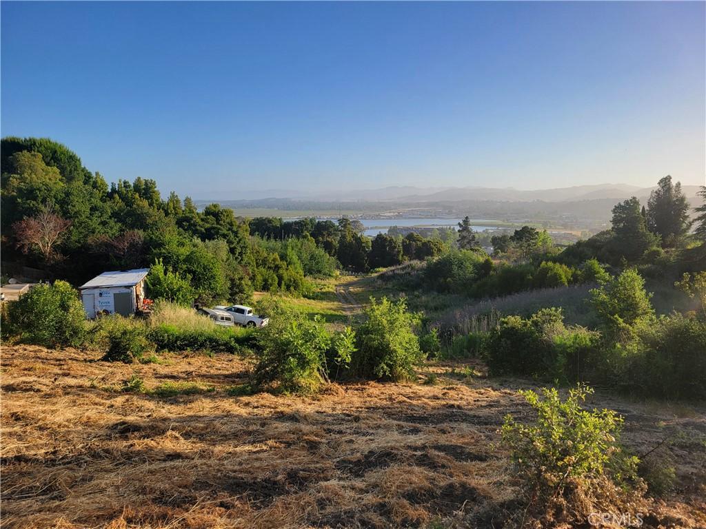 MLS #OC26051092 image #0