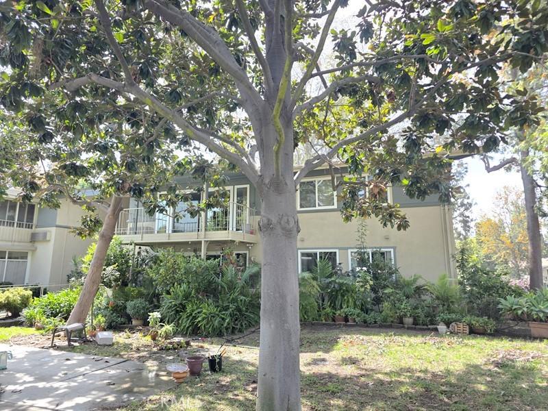 MLS #OC26068282 image #0