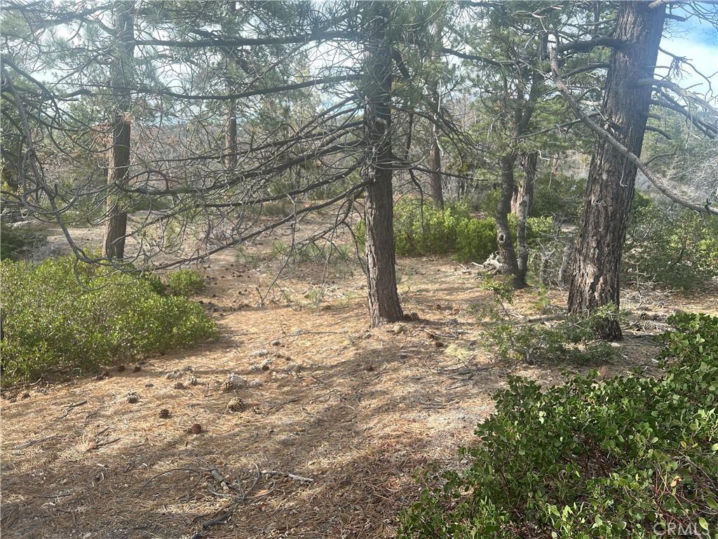 MLS #OC26070450 image #0