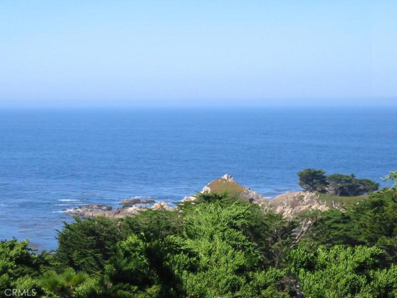 MLS #OC26075259 image #0