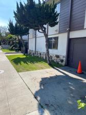 MLS #OC26087085 image #0