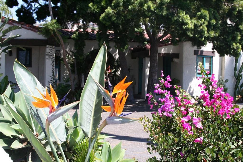MLS #OC26087155 image #0