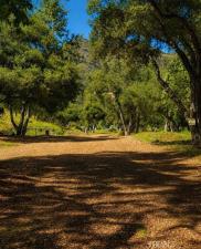 MLS #OC26100837 image #0