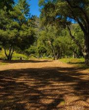 MLS #OC26100837 image #0