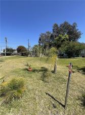 MLS #OC26111597 image #0