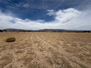 MLS #OC26128183 image #0