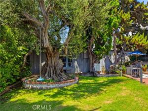 MLS #OC26132808 image #0