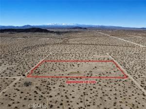 Desert Lily Street Lot 2 Joshua Tree CA 92252 | MLS #OC26136372 41 MLS #OC26136372 image #0