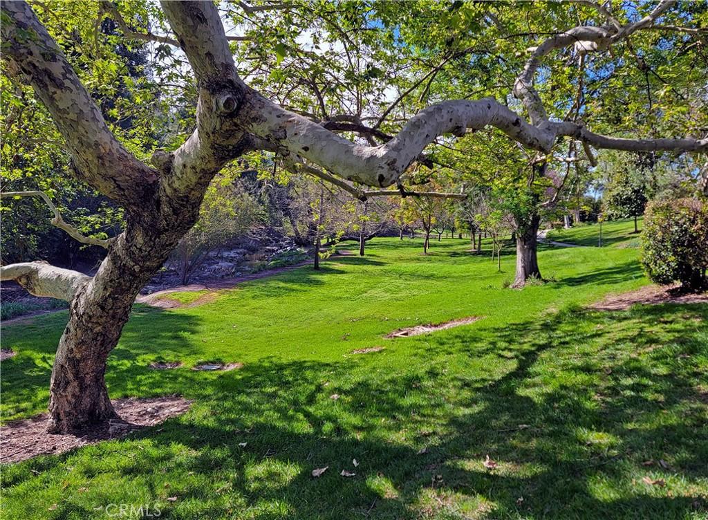 179 Avenida Majorca #C Laguna Woods CA 92637 | MLS #OC26139604 45 MLS #OC26139604 image #0