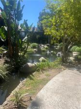 MLS #OC26142110 image #0