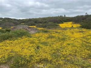 Stanley Road Lot 3 Hemet CA 92544 | MLS #OC26144473 45 MLS #OC26144473 image #0