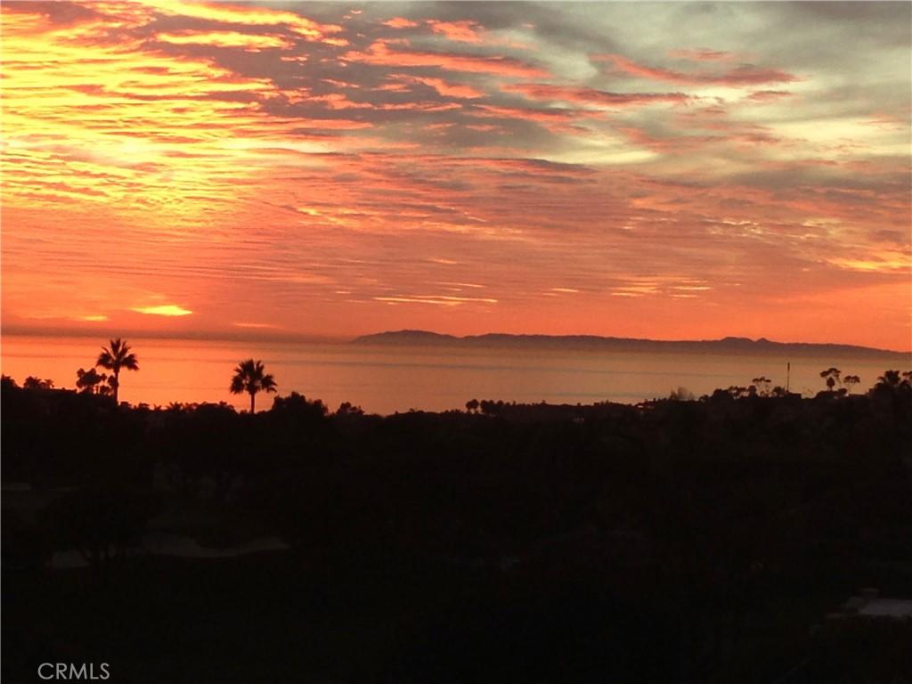 32 Dauphin Dana Point CA 92629 | MLS #OC26156432 45 MLS #OC26156432 image #0