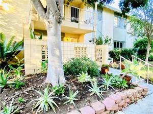 MLS #OC26159145 image #0