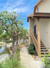 MLS #OC26162524 image #0