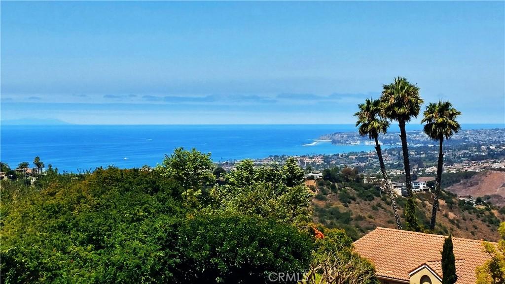 MLS #OC26168225 image #0