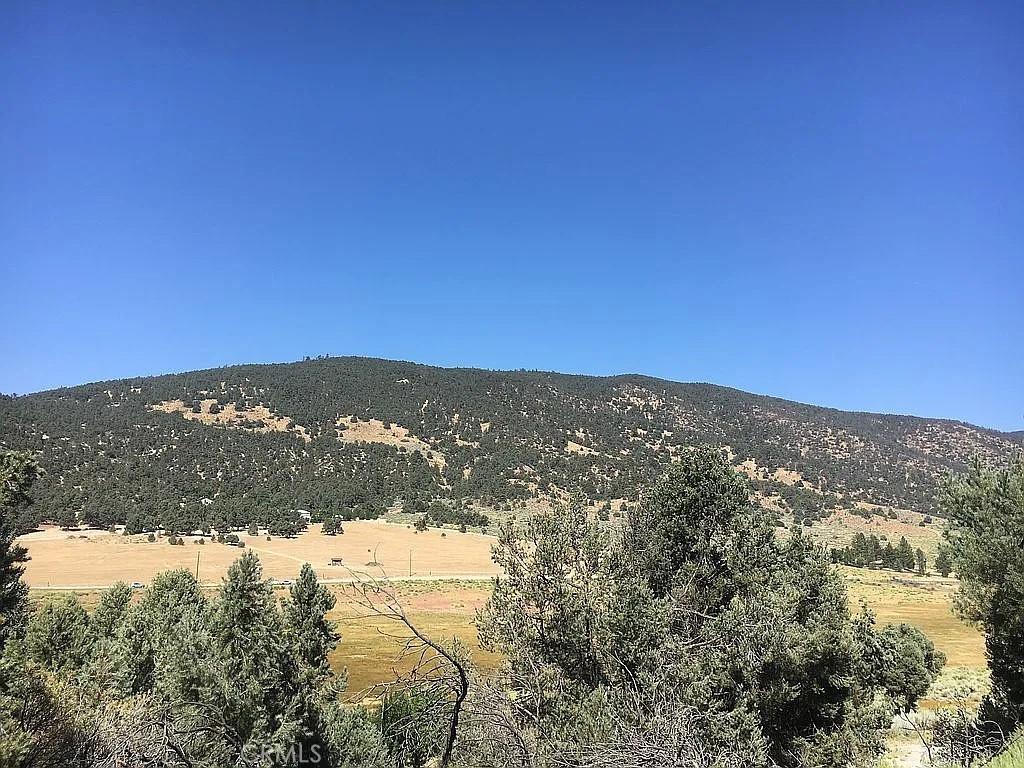 MLS #OC26177174 image #0