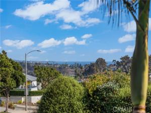 33261 Ocean Hill Drive Dana Point CA 92629 | MLS #OC26202880 45 MLS #OC26202880 image #0
