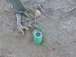 MLS #OC26208785 image #0