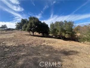 MLS #OC26211656 image #0