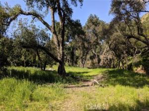 MLS #OC26221597 image #0