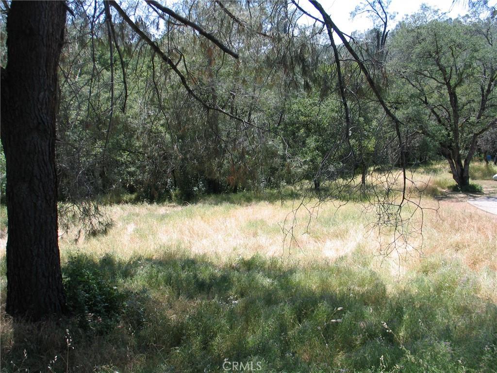 211 Lemon Hill DR Oroville CA 95966 | MLS #OR25103982 41 MLS #OR25103982 image #0