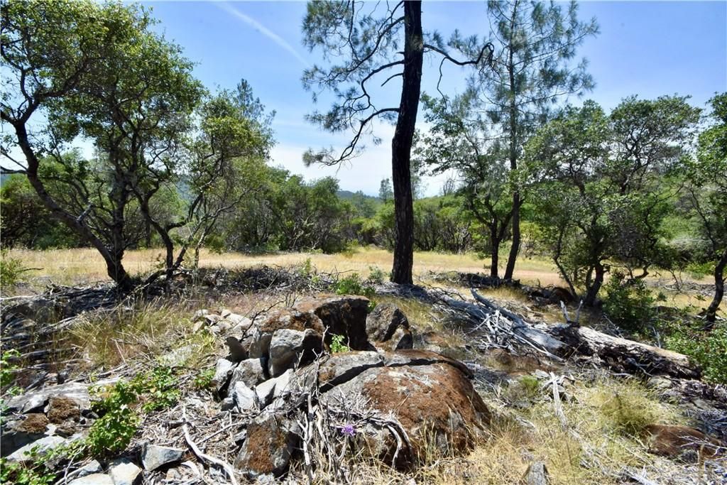 Mackey CT Oroville CA 95966 | MLS #OR25215279 41 MLS #OR25215279 image #0