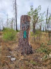 MLS #OR25239361 image #0