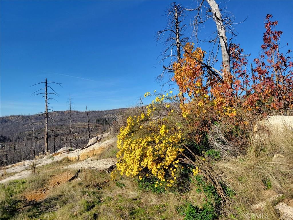 MLS #OR25263828 image #0