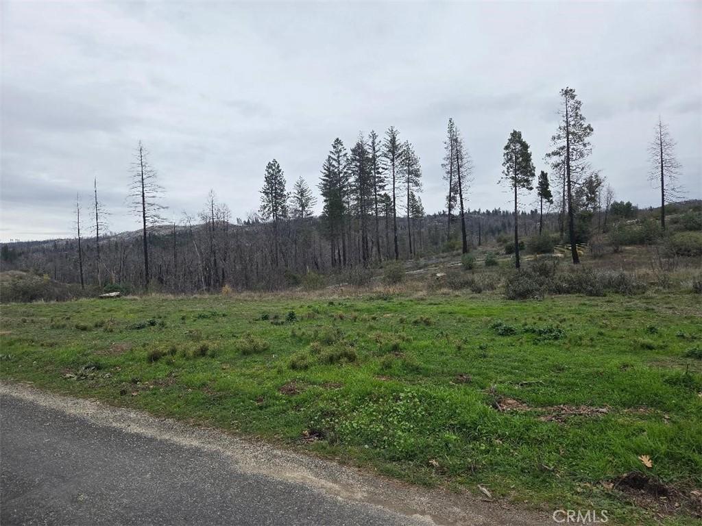 MLS #OR26000133 image #0