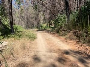 MLS #OR26010166 image #0