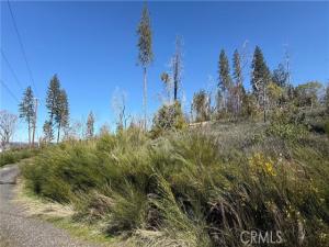 MLS #OR26048171 image #0