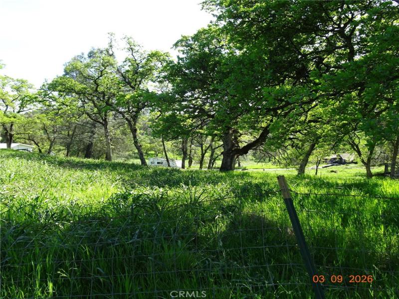 Reicker Lot 1 Oroville CA 95966 | MLS #OR26052344 41 MLS #OR26052344 image #0