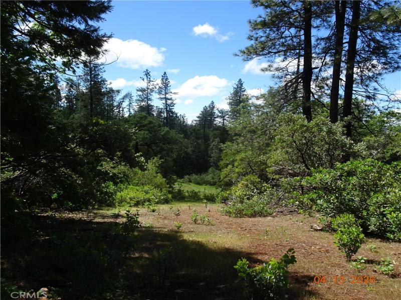 Powell Ridge Oroville CA 95966 | MLS #OR26112037 41 MLS #OR26112037 image #0